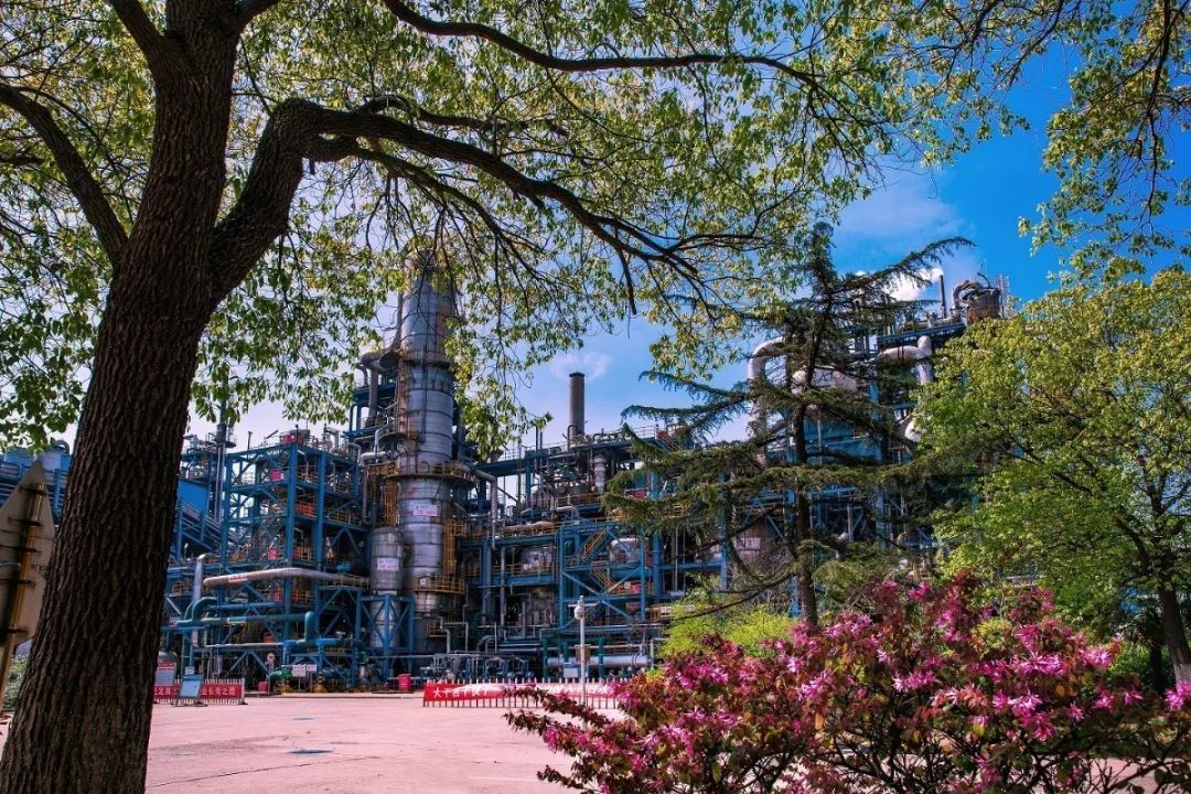 1686622755588825.jpg 640 (5).jpg